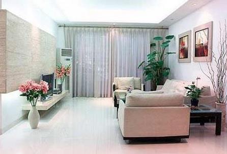 這些客廳植物風(fēng)水禁忌，你一定要知道！