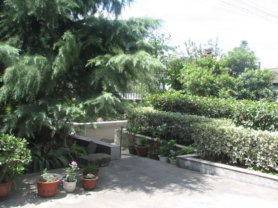 這些庭院種樹(shù)的風(fēng)水禁忌，你知道嗎？