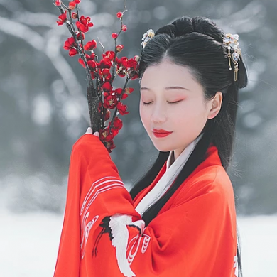 紅梅白雪彈琴女生頭像，唯美古風真人頭像