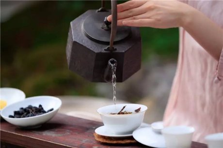 觀芷隱軒，以茶會(huì)友的民宿