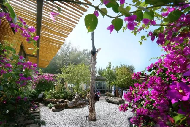 慢點藝術(shù)民宿，世間所有努力都是為了慢點