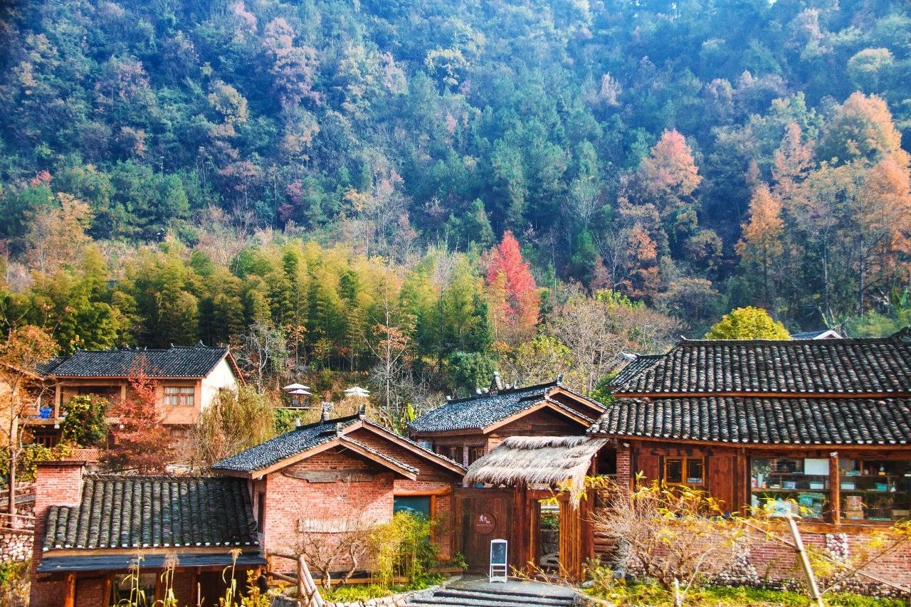 張家界·五號山谷，山谷在重生！