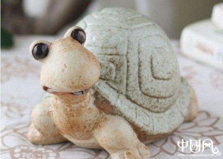 家庭養(yǎng)龜有什么風水嗎