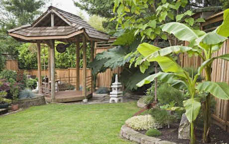 庭院大門朝向風(fēng)水細(xì)述，庭院植物風(fēng)水知識(shí)