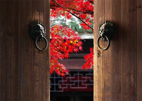 中國(guó)人在秋天的九種情調(diào)，唯美古風(fēng)句子