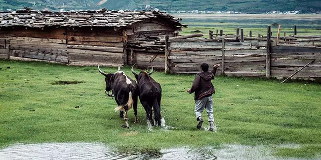 香格里拉薩洛頤度假酒店，以上帝視角看納帕海