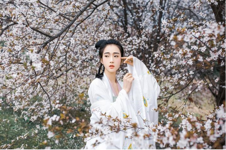 櫻花樹下古風(fēng)女子頭像，真人古風(fēng)頭像大全