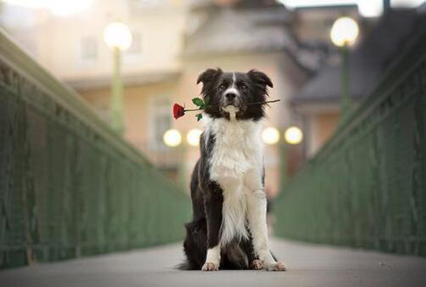 學會這些風水絕招，讓你告別單身的日子