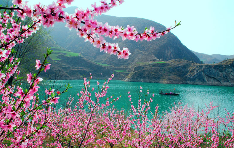 知道這些風(fēng)水布局，讓你的桃花運(yùn)滾滾而來(lái)