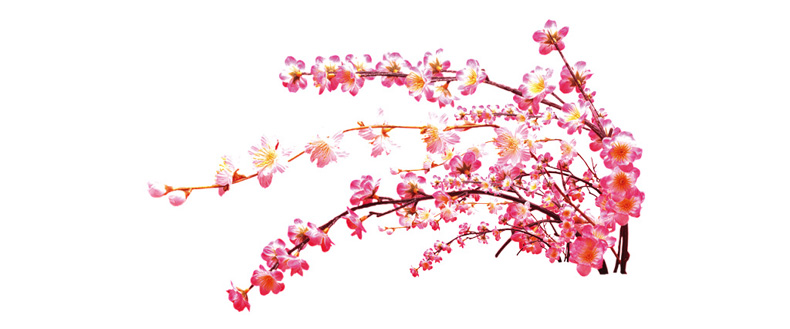 你知道如何看桃花運(yùn)嗎？風(fēng)水學(xué)來(lái)教你