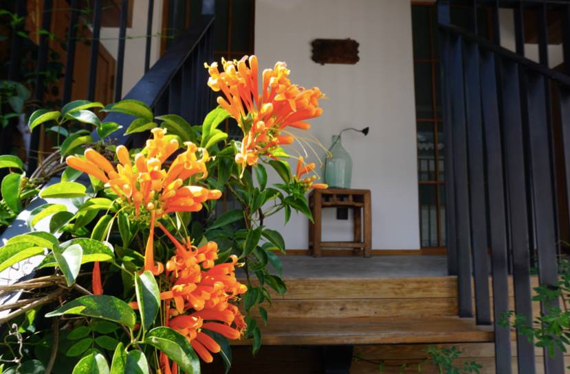 大理古城·果念，按照自己喜歡的方式活著