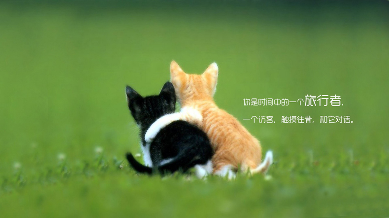 掌握這些風(fēng)水小妙招，讓你的愛情更加甜蜜