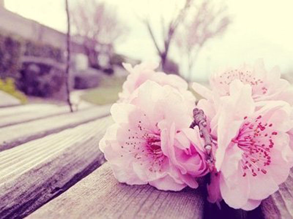 咸池桃花是什么？咸池桃花如何化解？