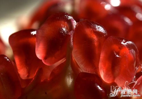 減肥MM必知！水果減肥法大揭秘