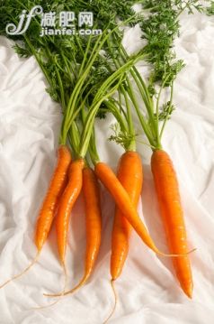 食品,農(nóng)業(yè),胡蘿卜,串,攝影_562332373_A bunch of carrots with white background_創(chuàng)意圖片_Getty Images China