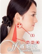 3分鐘！穴位按摩成就小臉夢(mèng)