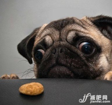 微博風(fēng)靡戳心戳肺的減肥語錄