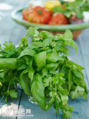 點(diǎn)擊圖片進(jìn)入第一頁(yè)