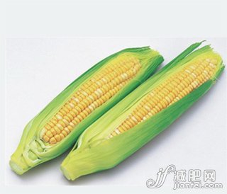 減肥，食品，妙方，熱量，飲食，誤區(qū)