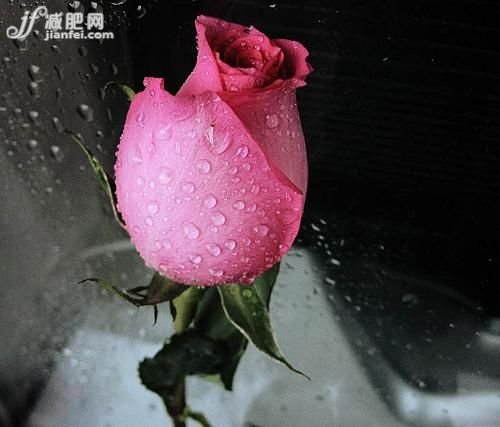 讓夜晚成為黃金時(shí)間 睡美人的安眠訣竅