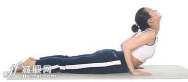 眼鏡蛇式瑜伽 “水桶腰”變“水蛇腰”