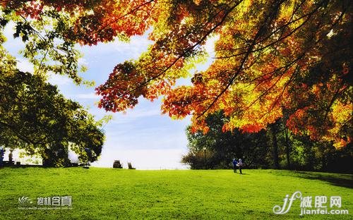 辦公室瑜伽 30分鐘健身瘦身 辦公室瑜伽 30分鐘健身瘦身