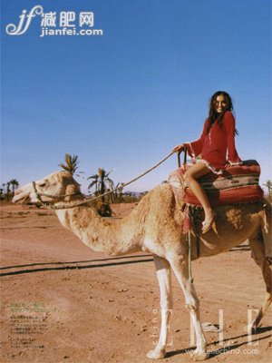 原則四：充分?jǐn)z取制造骨骼的鈣質(zhì)