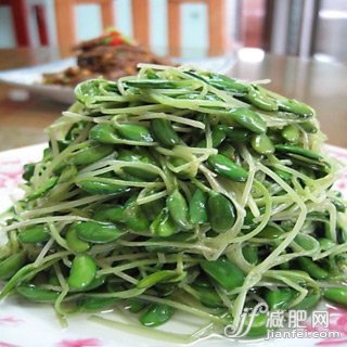 7種食物讓你擁有精致小v臉