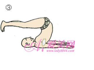 瑜伽，贅肉，減肥，運動