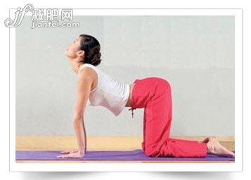5招瑜伽動作保養(yǎng)脊椎,評尚網(wǎng)