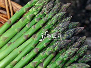 春節(jié)前吃什么瘦肚腩 蘆筍