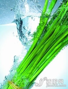 專家教你無饑餓感燃脂瘦身 