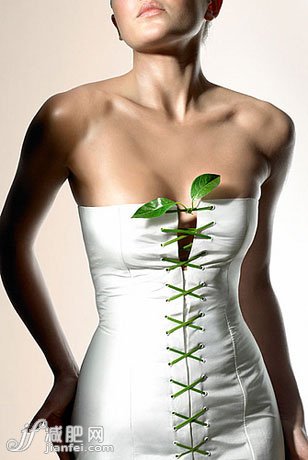 排毒消脂減肥常識 了解得多瘦得快