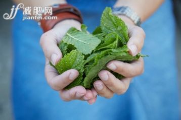 薄荷,草本,攝影,2015年,_570090865_Holding freshly picked mint leaves_創(chuàng)意圖片_Getty Images China