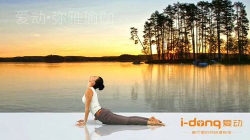 彌雅瑜伽——“射擊式”