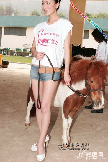 美體，明星，美腿，塑形，PK，湯加麗，張?bào)阌?，劉亦菲，林志玲，佘?shī)曼，范冰冰，章子怡，舒淇，蔡依林