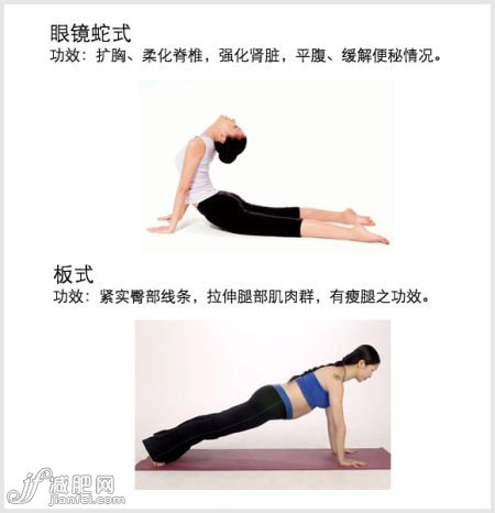 4招瑜伽輕松告別久坐肥胖