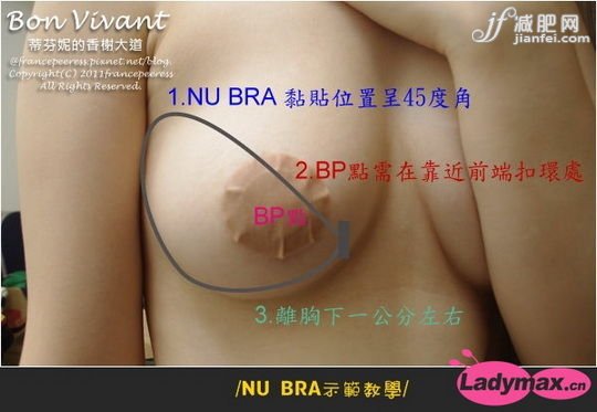 開始黏貼前先看一下黏貼位置構(gòu)照圖