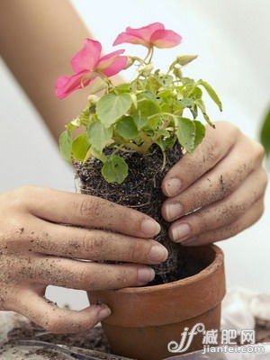 點(diǎn)擊圖片進(jìn)入第一頁(yè)