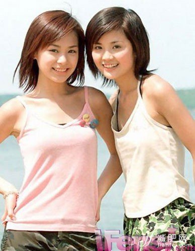 林心如，鄭爽，蒼井空，明星，罩杯