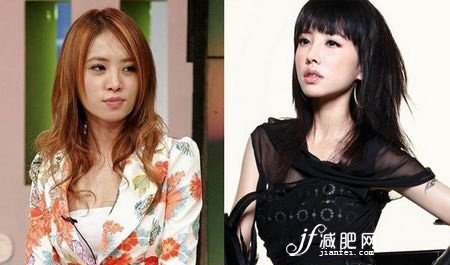 贅肉，明星，李湘，減肥