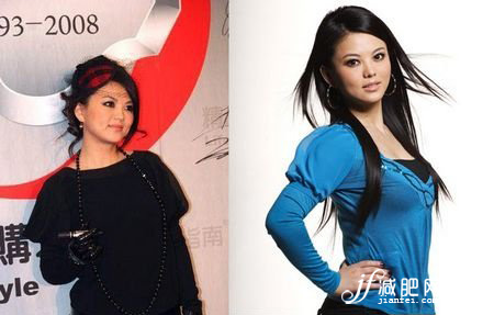 贅肉，明星，李湘，減肥