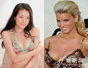 美胸，明星，塑形