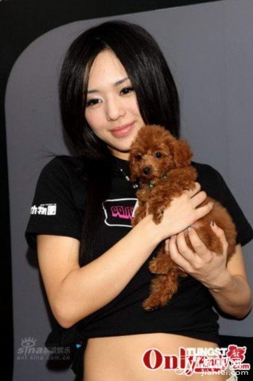 蒼井空，明星，豐胸