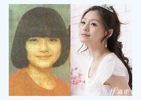 宋慧喬，劉亦菲，明星，減肥