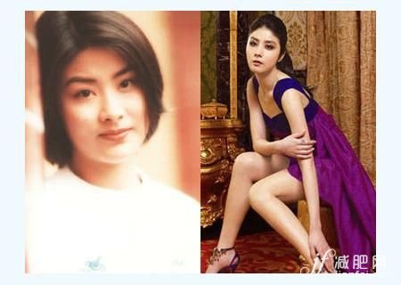 宋慧喬，劉亦菲，明星，減肥