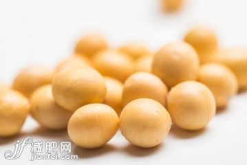 瓷器,健康,健康食物,圓形,組物體_gic13816766_白色背景上的一堆黃豆_創(chuàng)意圖片_Getty Images China