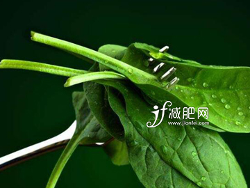 過年怎么吃蔬菜類不會胖