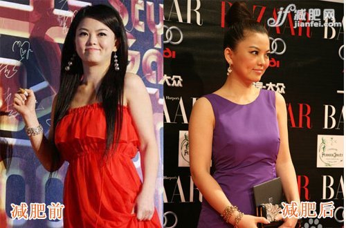 明星辣媽推薦什么減肥藥最有效果