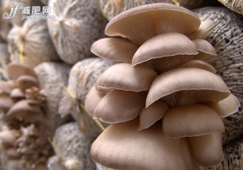 蘑菇減肥餐 每天輕松減1斤